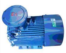 YB防爆電機(jī).jpg